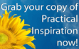 Get Practical Inspiration Free Now